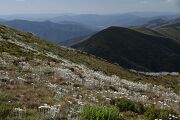Mount Hotham and the Great Alpine Road