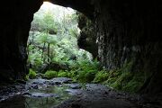 Pierces Pass and the Glow-worm Tunnel