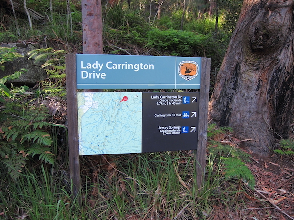 Lady Carrington Drive