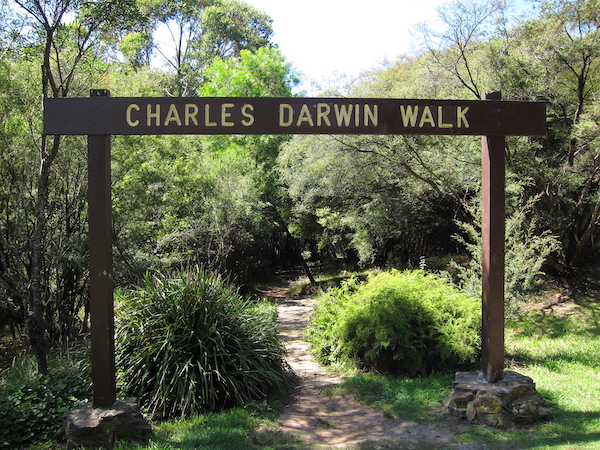 Charles Darwin Walk